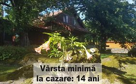 Casa Bunicului